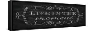 Live in the Moment-N. Harbick-Framed Stretched Canvas