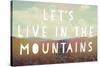 Live in the Mountains-Vintage Skies-Stretched Canvas