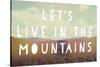 Live in the Mountains-Vintage Skies-Stretched Canvas