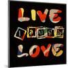 Live Laugh Love II-Irena Orlov-Mounted Premium Giclee Print