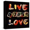 Live Laugh Love II-Irena Orlov-Stretched Canvas