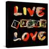 Live Laugh Love II-Irena Orlov-Stretched Canvas