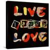 Live Laugh Love II-Irena Orlov-Stretched Canvas