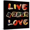 Live Laugh Love II-Irena Orlov-Stretched Canvas