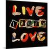 Live Laugh Love II-Irena Orlov-Mounted Art Print