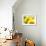 Live Laugh Love: Sunflower-Nicole Katano-Framed Photo displayed on a wall