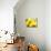 Live Laugh Love: Sunflower-Nicole Katano-Mounted Photo displayed on a wall