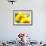 Live Laugh Love: Sunflower-Nicole Katano-Framed Photo displayed on a wall