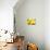 Live Laugh Love: Sunflower-Nicole Katano-Stretched Canvas displayed on a wall