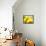 Live Laugh Love: Sunflower-Nicole Katano-Framed Stretched Canvas displayed on a wall