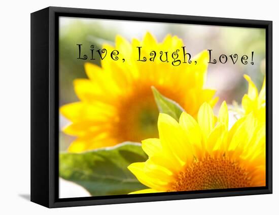 Live Laugh Love: Sunflower-Nicole Katano-Framed Stretched Canvas