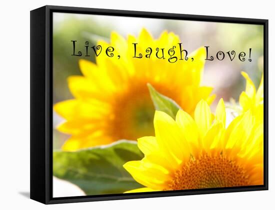 Live Laugh Love: Sunflower-Nicole Katano-Framed Stretched Canvas