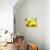 Live Laugh Love: Sunflower-Nicole Katano-Mounted Photo displayed on a wall