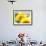 Live Laugh Love: Sunflower-Nicole Katano-Framed Photo displayed on a wall