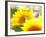 Live Laugh Love: Sunflower-Nicole Katano-Framed Photo