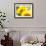 Live Laugh Love: Sunflower-Nicole Katano-Framed Photo displayed on a wall