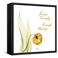 Live Laugh Sandersonia H51-Albert Koetsier-Framed Stretched Canvas