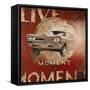 Live Life-Janet Kruskamp-Framed Stretched Canvas