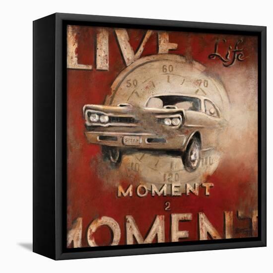 Live Life-Janet Kruskamp-Framed Stretched Canvas