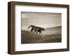 Live Like Someone Left the Gate Open-Barry Hart-Framed Art Print