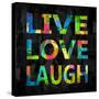 Live Love Laugh Color on Black-Jamie MacDowell-Stretched Canvas