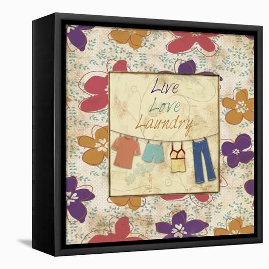 Live Love Laundry-Piper Ballantyne-Framed Stretched Canvas