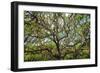 Live Oak Tree Canopy with Spanish Moss, Charleston, Sout Carolina-George Oze-Framed Photographic Print