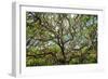 Live Oak Tree Canopy with Spanish Moss, Charleston, Sout Carolina-George Oze-Framed Photographic Print