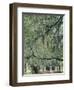 Live Oak Tree, Savannah, Georgia, USA-Adam Jones-Framed Photographic Print