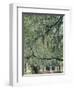 Live Oak Tree, Savannah, Georgia, USA-Adam Jones-Framed Photographic Print