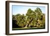 Live Oak with Spanish Moss, Atchafalaya Basin, Louisiana, USA-Alison Jones-Framed Photographic Print