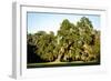 Live Oak with Spanish Moss, Atchafalaya Basin, Louisiana, USA-Alison Jones-Framed Photographic Print