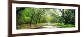 Live Oaks and Spanish Moss Wormsloe State Historic Site Savannah Ga-null-Framed Photographic Print