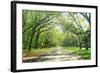 Live Oaks and Spanish Moss Wormsloe State Historic Site Savannah GA-null-Framed Photographic Print