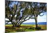 Live Oaks by the Bay I-Alan Hausenflock-Mounted Photographic Print