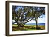 Live Oaks by the Bay I-Alan Hausenflock-Framed Photographic Print