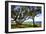 Live Oaks by the Bay I-Alan Hausenflock-Framed Photographic Print