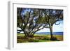 Live Oaks by the Bay I-Alan Hausenflock-Framed Photographic Print