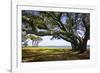 Live Oaks by the Bay II-Alan Hausenflock-Framed Photographic Print