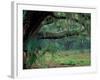 Live Oaks Covered in Spanish Moss and Ferns, Cumberland Island, Georgia, USA-Art Wolfe-Framed Photographic Print