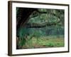 Live Oaks Covered in Spanish Moss and Ferns, Cumberland Island, Georgia, USA-Art Wolfe-Framed Photographic Print