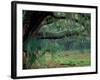 Live Oaks Covered in Spanish Moss and Ferns, Cumberland Island, Georgia, USA-Art Wolfe-Framed Photographic Print