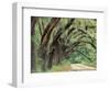 Live Oaks Covered in Spanish Moss and Ferns, Cumberland Island, Georgia, USA-Art Wolfe-Framed Photographic Print