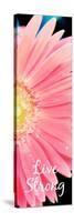 Live Strong Daisy-Susan Bryant-Stretched Canvas