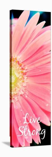 Live Strong Daisy-Susan Bryant-Stretched Canvas