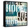 Live the Dream II-Mo Mullan-Framed Stretched Canvas