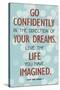 Live the Life You Have Imagined Thoreau Quote Art Print Poster-null-Stretched Canvas