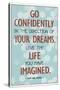 Live the Life You Have Imagined Thoreau Quote-null-Stretched Canvas