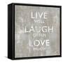 Live Well-Jamie MacDowell-Framed Stretched Canvas