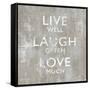 Live Well-Jamie MacDowell-Framed Stretched Canvas